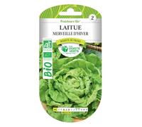 Graines laitue merveille d'hiver BIO Les Doigts Verts