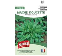 Graines Mâche à grosse graines (Doucette)