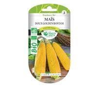 Graines maïs doux Golden Bantam BIO Les Doigts Verts