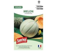 Graines Melon Charentais