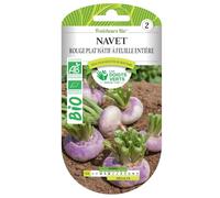 Graines navet rouge plat hâtif BIO Les Doigts Verts