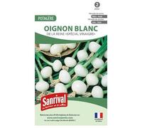 Graines Oignon blanc La reine