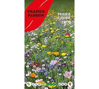 Graines Passion sachet de graines Prairie fleurie Enfys