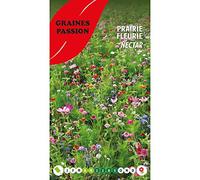 Graines Passion sachet de graines Prairie fleurie Nectar