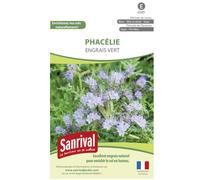 Graines Phacélie Engrais Vert