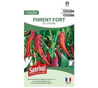 Graines Piment Fort de Cayenne