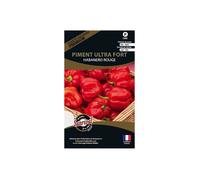 Graines potagères premium piment Ultra fort Habanero