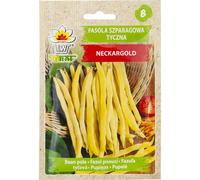 Graines potagères Toraf Haricot Neckargold, paquet de 10g