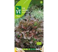 Graines pour la germination Graines de haricot mungo - Environ 16 gr | VT_251
