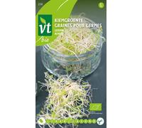 Graines pour la germination Graines de luzerne - Env. 16 gr | VT_250