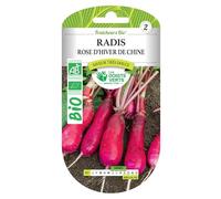 Graines radis rose d'hiver de Chine BIO Les Doigts Verts