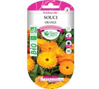 Graines souci orange BIO Les Doigts Verts