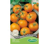 Graines Tomate Goldene Köningin