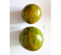GRAINES TOMATE GREEN ZEBRA