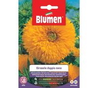 Graines tournesol double nano géant jaune bleu