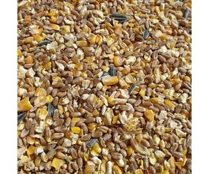 Graines Universal Aliment pour volaille 25 kg Aliment pour volailles Graines Ali