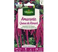 Graines - Vilmorin - Amarante Queue de Renard