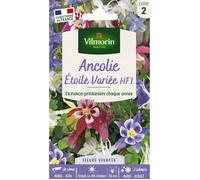 Vilmorin Ancolie étoile variée 5135842 Multicolore 9 x 0,5 x 16 cm