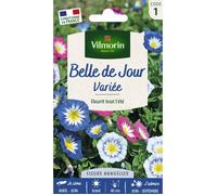 Vilmorin Sachet graines Belle de Jour variée