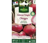 Vilmorin – Graines de betterave potagère Chioggia à semer