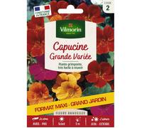 Graines - Vilmorin - Capucine Grande Variée - Grand Modèle