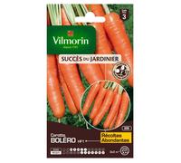 Graines - Vilmorin - Carotte Boléro HF1