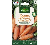 Vilmorin - Sachet graines Carotte de Chantenay à coeur rouge 2