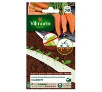 Graines - Vilmorin - Carotte Nanco HF1 - Ruban de graines - 5 m