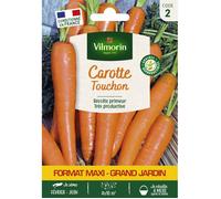 Graines - Vilmorin - Carotte Touchon - Grand Modèle