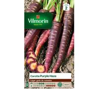 Graines - Vilmorin - Carotte Violette Purple Haze HF1 - Graines d'Exception