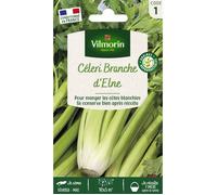 Graines - Vilmorin - Céleri Branche d'Elne