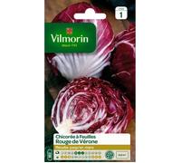 Graines - Vilmorin - Chicorée à Feuilles Rouge de Vérone