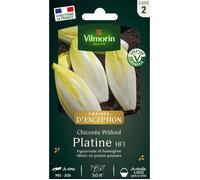 Graines - Vilmorin - Chicorée Witloof Platine (type Bruxelles) - Graines d'Exception