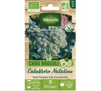 Chou Brocoli Calabrese Natalino - BIO
