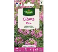 Graines - Vilmorin - Cléome Rose