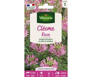 Graines - Vilmorin - Cléome Rose