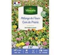 Graines - Vilmorin - Coin de Prairie - 7 m² - Mélange de fleurs