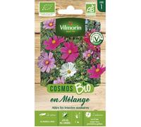Graines - Vilmorin - Cosmos Varié - BIO