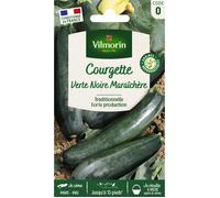 Graines - Vilmorin - Courgette Verte Noire Maraîchère
