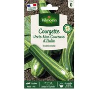 Vilmorin Courgette non coureuse d’Italie