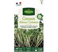 Vilmorin - Cresson Alenois Commun