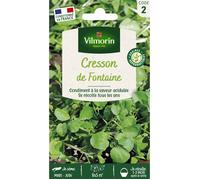 Graines - Vilmorin - Cresson de Fontaine à Larges Feuilles