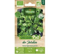 Vilmorin-3520742-CRESSON DE JARDIN BIO VL 2