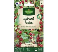 Graines - Vilmorin - Epinard Fraise - Légumes d'Autrefois