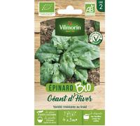 Graines - Vilmorin - Epinard Géant d'Hiver - BIO