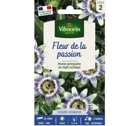Graines - Vilmorin - Fleur de la Passion (Passiflore)