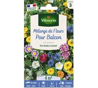 Graines - Vilmorin - Fleurs Annuelles pour Balcons - 4 m² - Mélange de fleurs