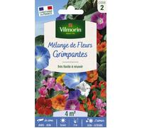Graines - Vilmorin - Fleurs Grimpantes - 4 m² - Mélange de fleurs