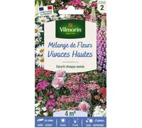 Graines - Vilmorin - Fleurs Vivaces Hautes - 4 m² - Mélange de fleurs