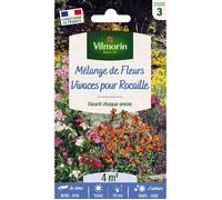 Graines - Vilmorin - Fleurs Vivaces pour Rocaille - 4 m² - Mélange de fleurs